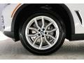 2020 BMW X5 sDrive40i Wheel and Tire Photo