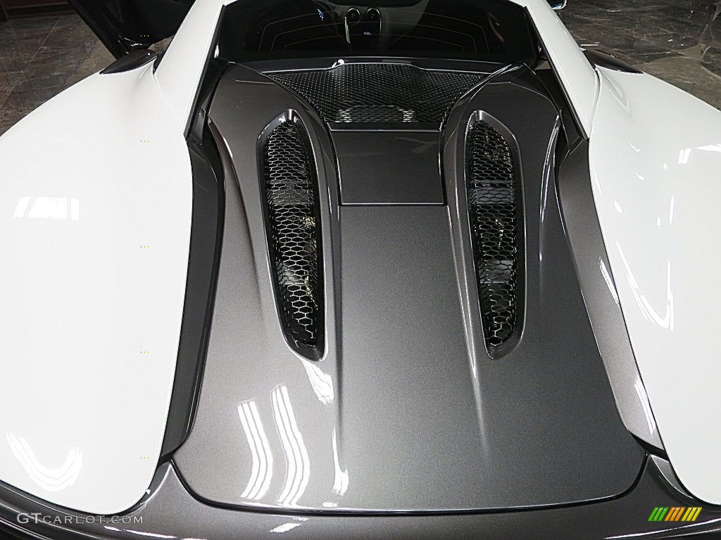 2019 570S Coupe - Silica White / Jet Black/Apex Red photo #29