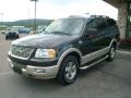 Dark Stone Metallic 2005 Ford Expedition King Ranch 4x4