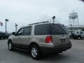 Pueblo Gold Metallic - Expedition XLT Photo No. 3
