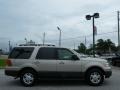Pueblo Gold Metallic - Expedition XLT Photo No. 6