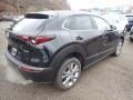 Jet Black Mica - CX-30 Preferred AWD Photo No. 2