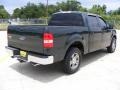 2005 Aspen Green Metallic Ford F150 XLT SuperCrew  photo #3