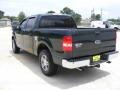 Aspen Green Metallic - F150 XLT SuperCrew Photo No. 5