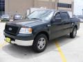 2005 Aspen Green Metallic Ford F150 XLT SuperCrew  photo #7