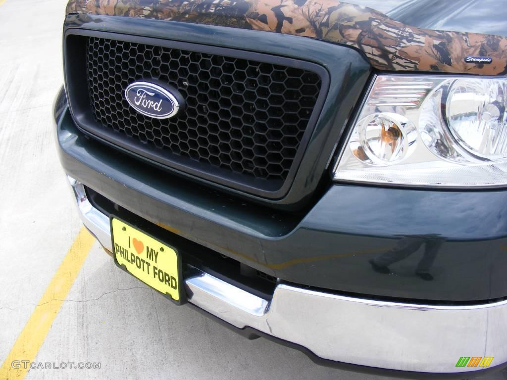 2005 F150 XLT SuperCrew - Aspen Green Metallic / Tan photo #10