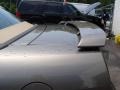 2005 Mineral Grey Metallic Ford Mustang V6 Deluxe Convertible  photo #9