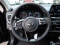  2021 Seltos EX AWD Steering Wheel