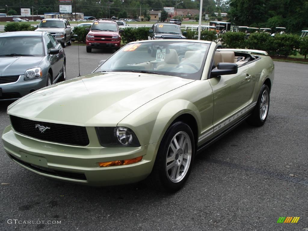 2005 Mustang V6 Premium Convertible - Legend Lime Metallic / Medium Parchment photo #4