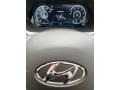 2020 Hyundai Palisade Light Beige Interior Gauges Photo