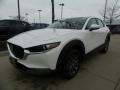 Snowflake White Pearl Mica - CX-30 AWD Photo No. 3