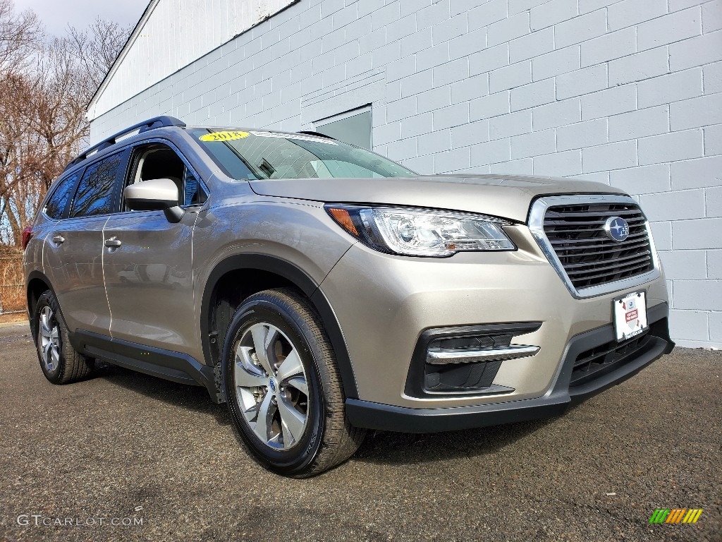 2019 Ascent Premium - Tungsten Metallic / Warm Ivory photo #1