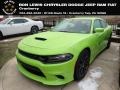 Sublime Metallic 2019 Dodge Charger R/T Scat Pack