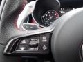 2020 Alfa Romeo Stelvio Black/Red Interior Steering Wheel Photo