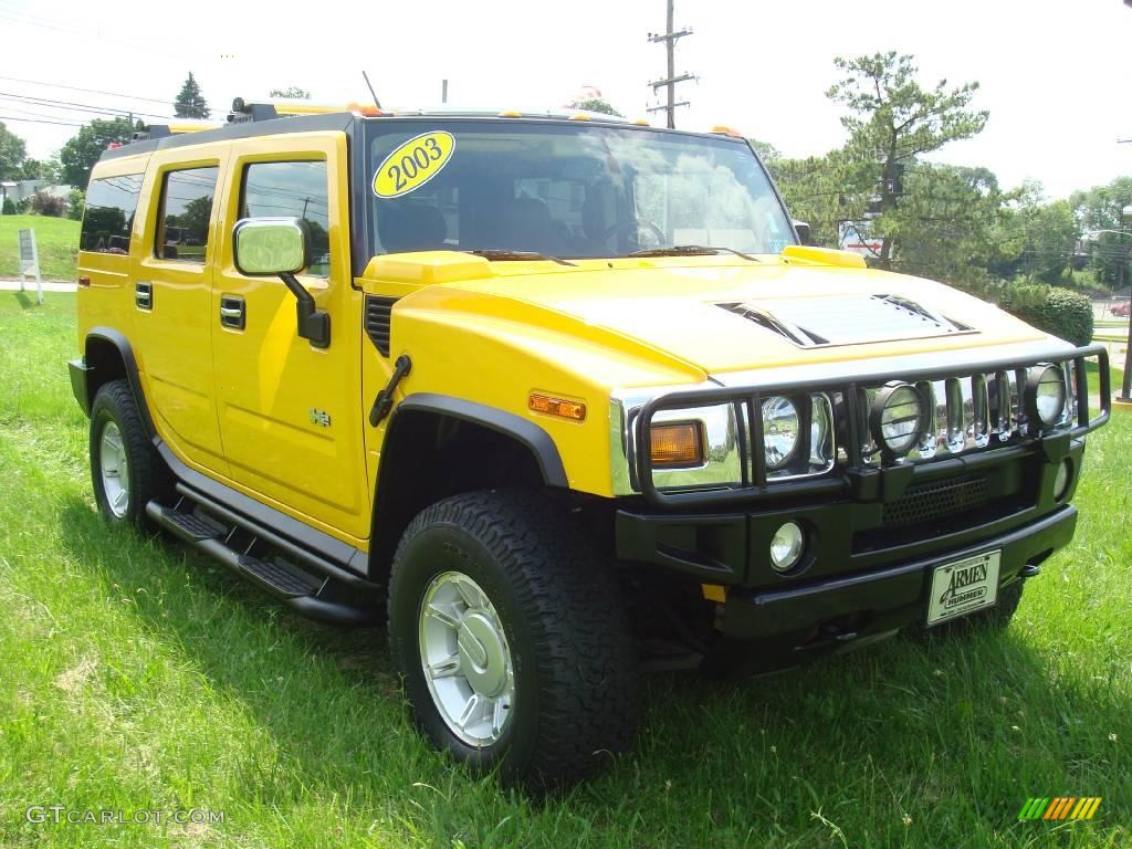2003 H2 SUV - Yellow / Wheat photo #4