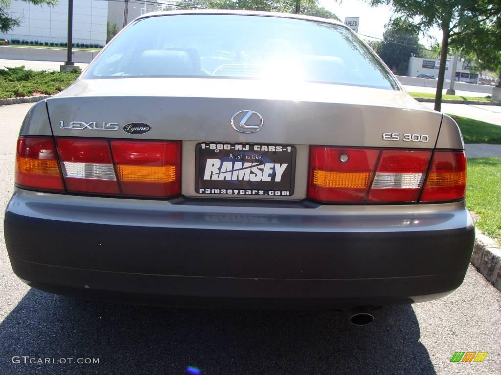 1999 ES 300 - Oyster Gray Pearl / Grey photo #6