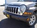 2005 Dark Khaki Pearl Jeep Liberty Limited 4x4  photo #9