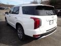 Hyper White - Palisade SEL AWD Photo No. 6