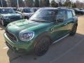 2020 British Racing Green IV Metallic Mini Countryman Cooper S All4  photo #4