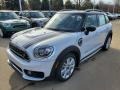 Light White - Countryman Cooper S All4 Photo No. 4