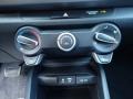 Controls of 2020 Rio LX