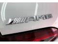 2020 Mercedes-Benz AMG GT 53 Badge and Logo Photo