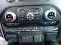 Controls of 2020 Sierra 1500 Elevation Double Cab 4WD