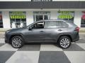 Magnetic Gray Metallic - RAV4 XLE Photo No. 1