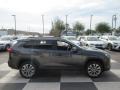 Magnetic Gray Metallic - RAV4 XLE Photo No. 3