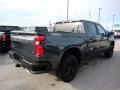 2020 Shadow Gray Metallic Chevrolet Silverado 1500 LT Trail Boss Crew Cab 4x4  photo #4