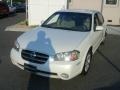 Glacier White Pearl - Maxima SE Photo No. 3