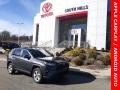 Magnetic Gray Metallic - RAV4 XLE AWD Photo No. 1