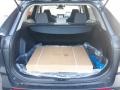 Magnetic Gray Metallic - RAV4 XLE AWD Photo No. 41