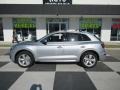 Florett Silver Metallic - Q5 Premium Plus quattro Photo No. 1