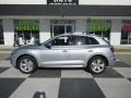 Florett Silver Metallic 2019 Audi Q5 Premium Plus quattro