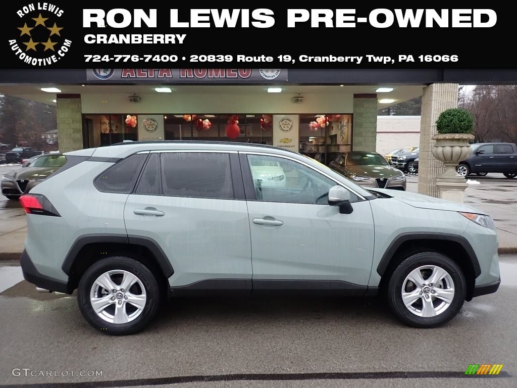 2019 RAV4 XLE AWD - Lunar Rock / Black photo #1