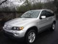 2005 Titanium Silver Metallic BMW X5 4.4i  photo #3