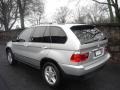 Titanium Silver Metallic - X5 4.4i Photo No. 4