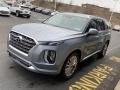 Lagoon Silver - Palisade Limited AWD Photo No. 6