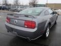 2007 Tungsten Grey Metallic Ford Mustang GT Deluxe Coupe  photo #5