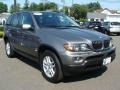 Sterling Grey Metallic - X5 3.0i Photo No. 2
