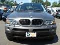 Sterling Grey Metallic - X5 3.0i Photo No. 3