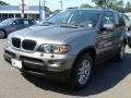 Sterling Grey Metallic - X5 3.0i Photo No. 4