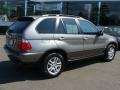 Sterling Grey Metallic - X5 3.0i Photo No. 8