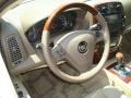 Blue Chip - CTS Sedan Photo No. 11