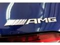 2020 Brilliant Blue Metallic Mercedes-Benz AMG GT 63 S  photo #25