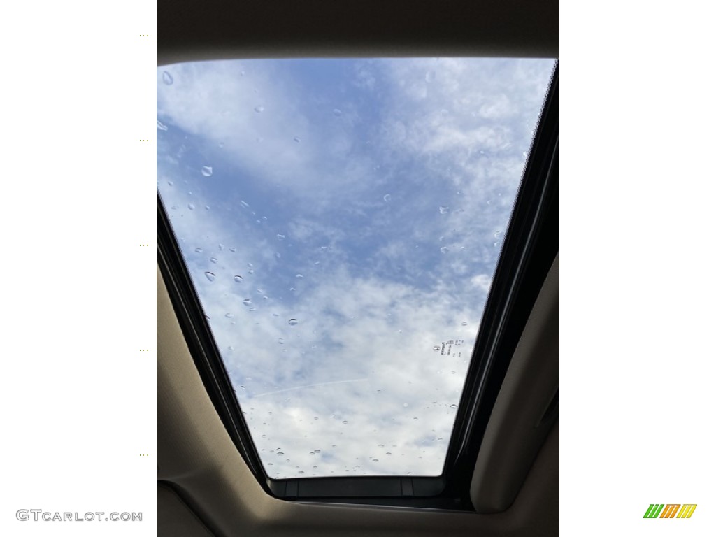2020 Odyssey EX-L - Forest Mist Metallic / Beige photo #33