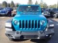 Bikini Pearl - Wrangler Unlimited Sport 4x4 Photo No. 8