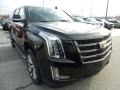 Black Raven - Escalade ESV Luxury 4WD Photo No. 1