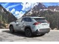 Lunar Rock - RAV4 TRD Off-Road AWD Photo No. 3